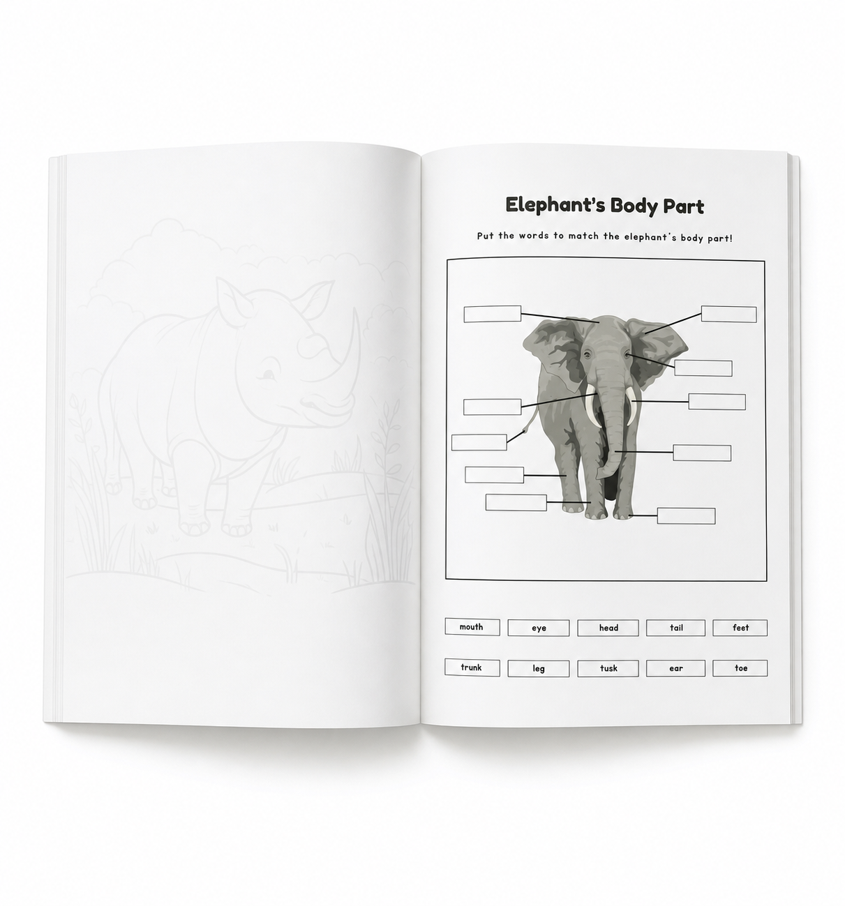 Into The Jungle Activity Book